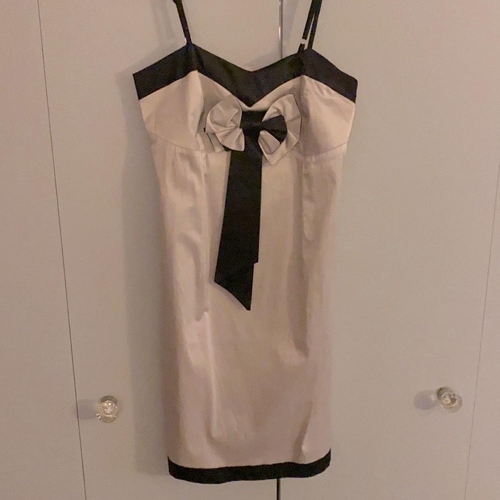 Platinum and Black Dress